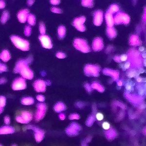 Meet your Posher, Molly